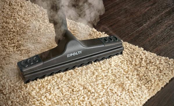 Tudo o que não espera limpar com vapor