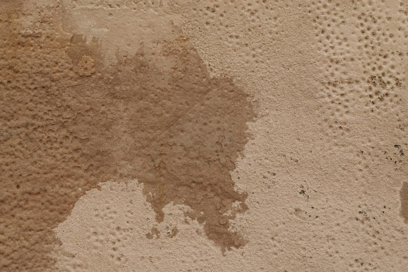 Como tirar o cheiro a humidade da casa: truques infalíveis divisão por divisão