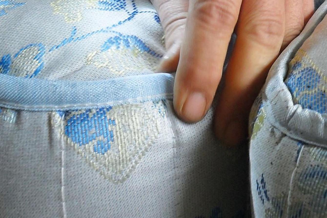 Percevejos da cama. O que são e como evitá-los?