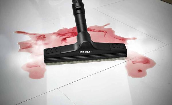 Como são as chinches e o que fazer se as encontrar em casa?