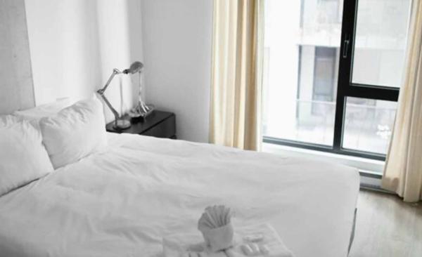 10 truques para eliminar percevejos usando vapor