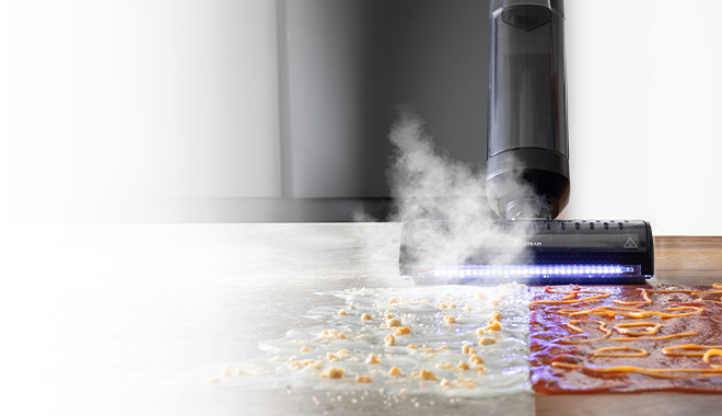 Na foto aparece o Polti Rollysteam