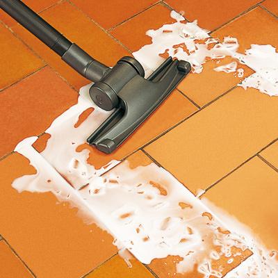 Forzaspira Lecologico: vacuum cleaner and liquids
