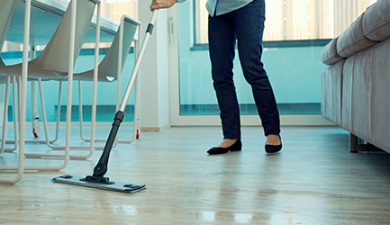 Polti Moppy: eficácia