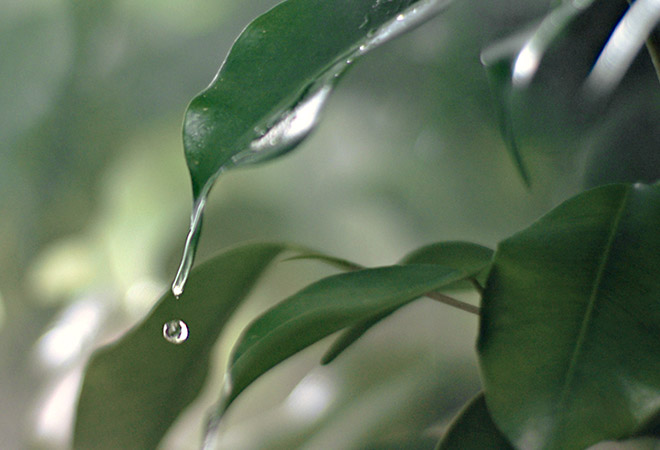 Os valores Polti: água e calor