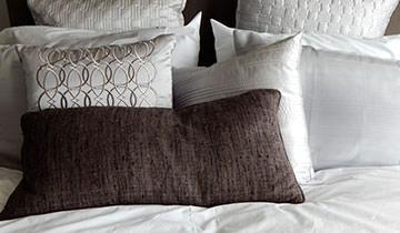 Cimex Eradicator sanificazione immediata