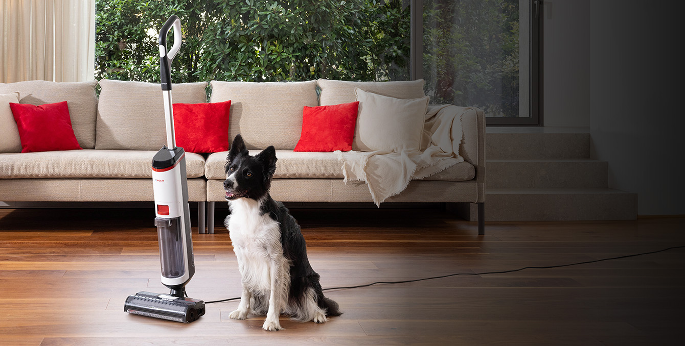 Limpeza húmida e seca com um cão