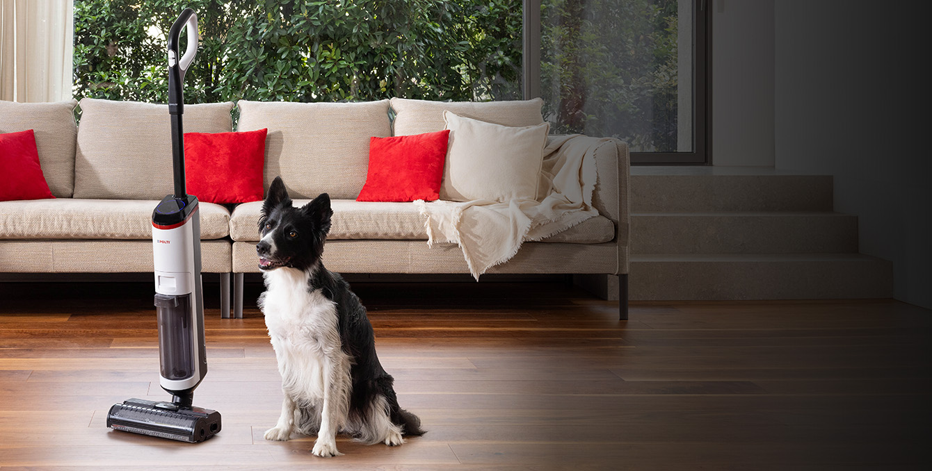 Mopa de limpeza a seco e húmido com um cão