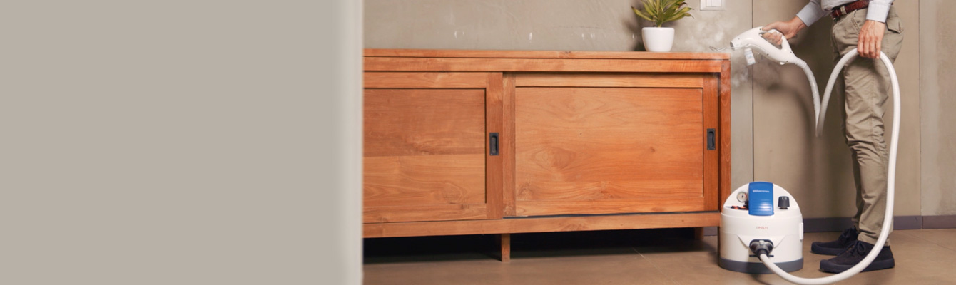 Polti eficacia vapor